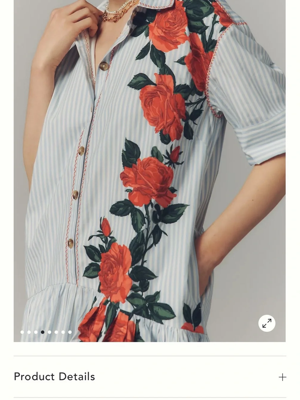 Maeve White & Green Striped Mini Dress with Red Rose Appliqué - Picture 5 of 9